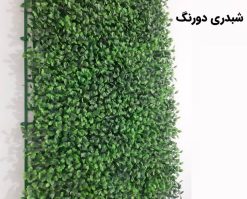 دیوار سبز(گرین وال)شبدری دو رنگ