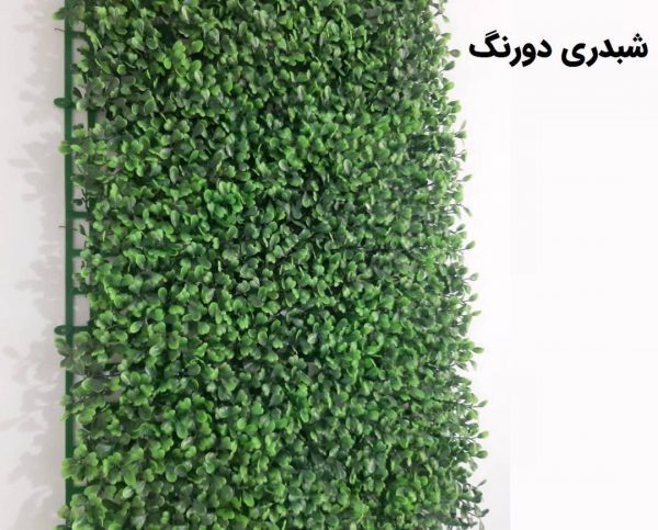 دیوار سبز(گرین وال)شبدری دو رنگ